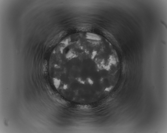 X0000100880073200807181309