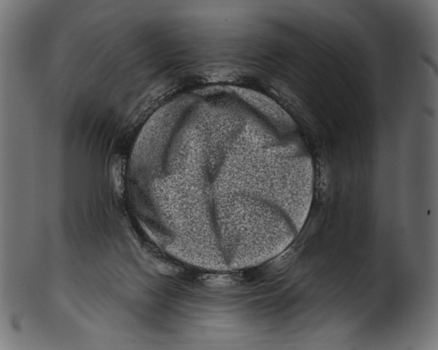 X0000100880074200807181309