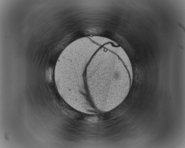 X0000100880075200807181309