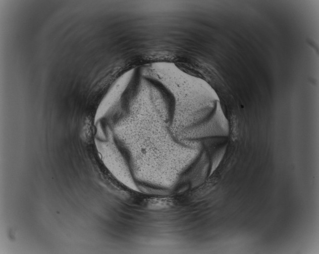 X0000100880077200807181309