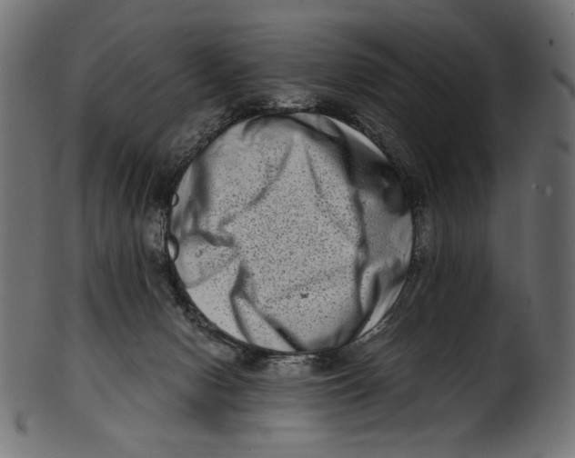 X0000100880078200807181309