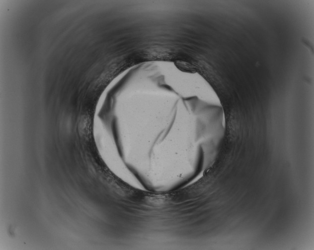 X0000100880079200807181309