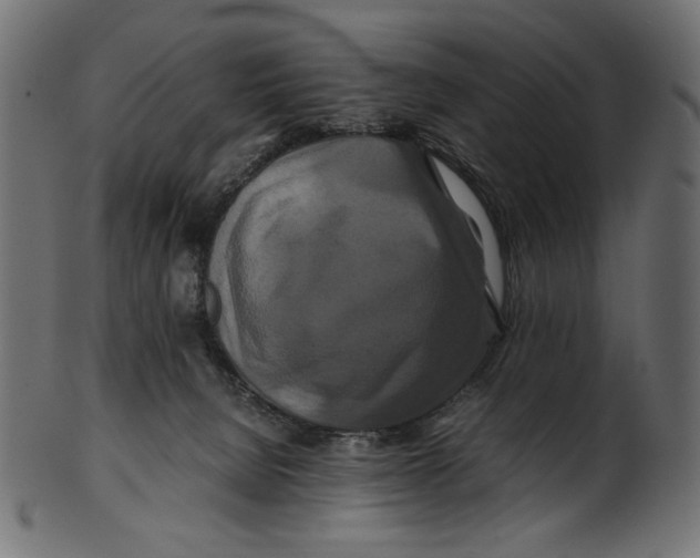 X0000100880080200807181309