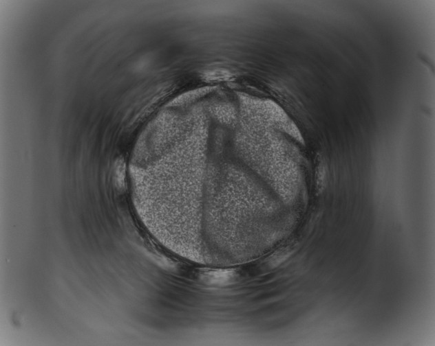 X0000100880081200807181309