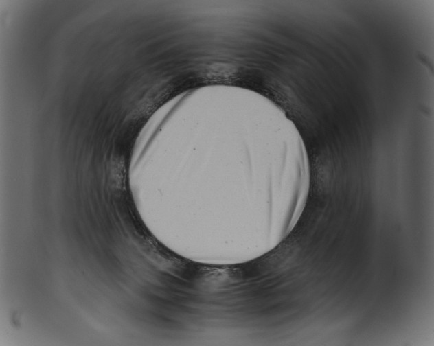 X0000100880083200807181309