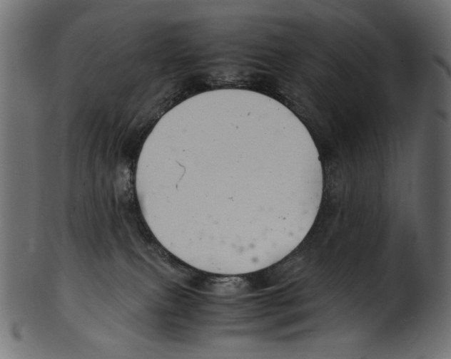 X0000100880087200807181309