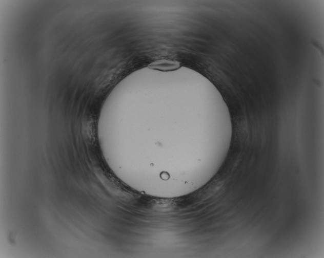 X0000100880088200807181309