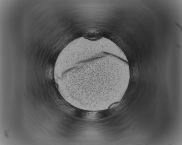 X0000100880090200807181309