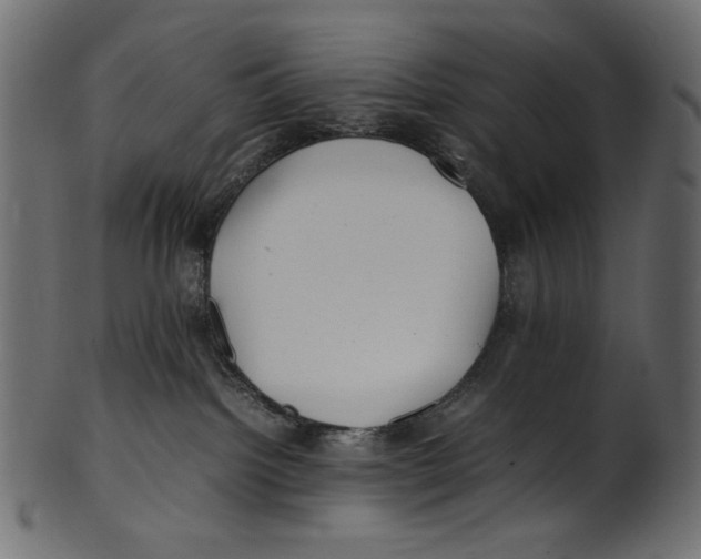 X0000100880092200807181309