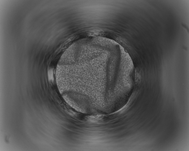 X0000100880094200807181309