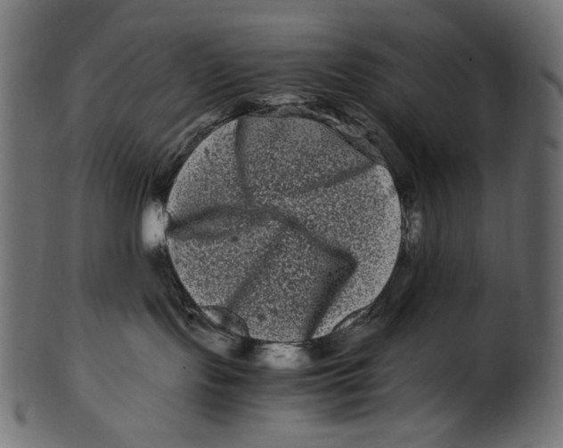 X0000100880095200807181309