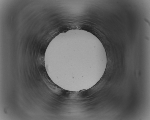 X0000100880096200807181309