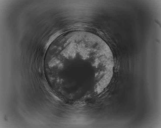 X0000100880099200807181308