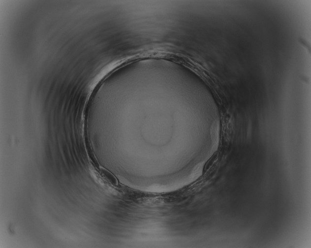 X0000100880100200807181308