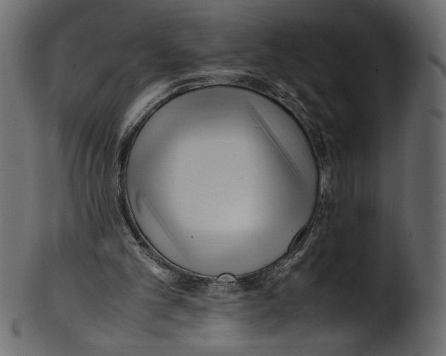 X0000100880101200807181308