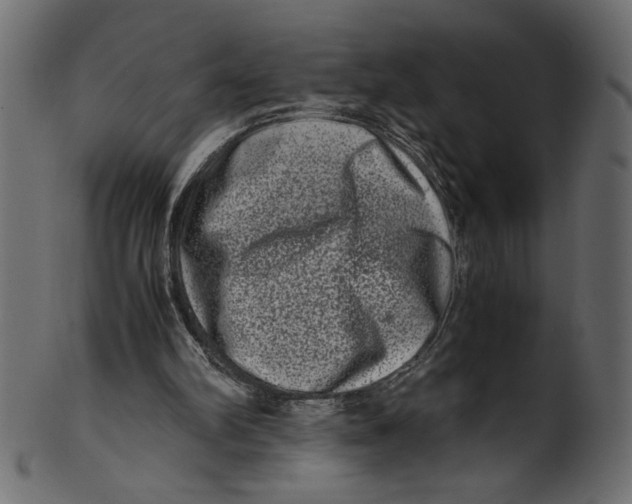 X0000100880102200807181308