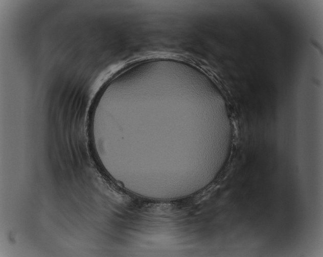 X0000100880104200807181308