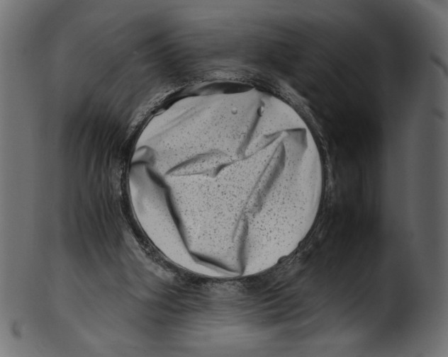 X0000100880106200807181308