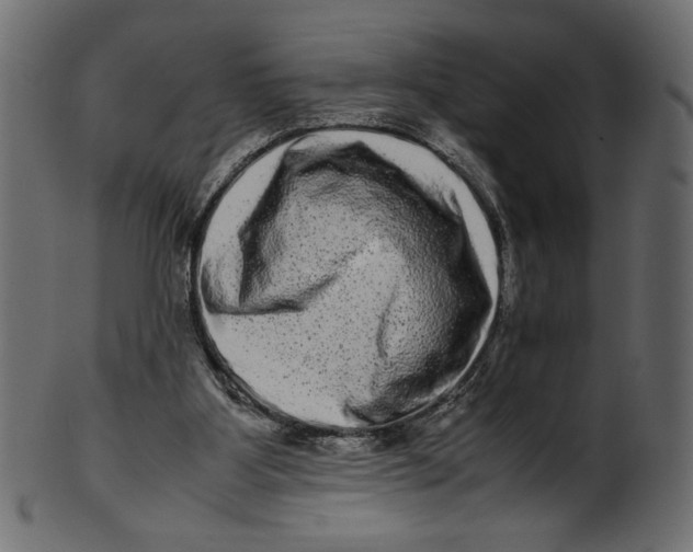 X0000100880107200807181308