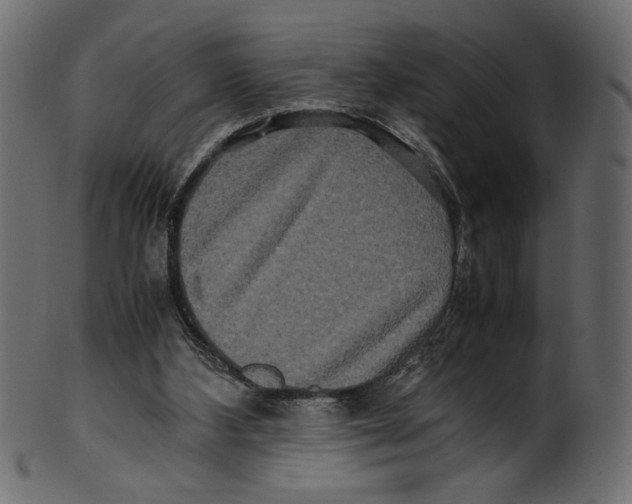 X0000100880108200807181308