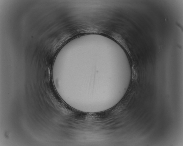 X0000100880109200807181308