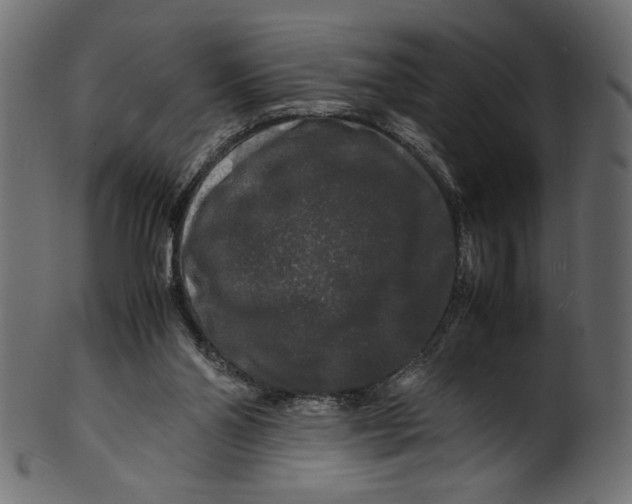 X0000100880110200807181308