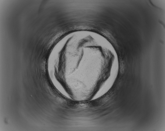 X0000100880111200807181308