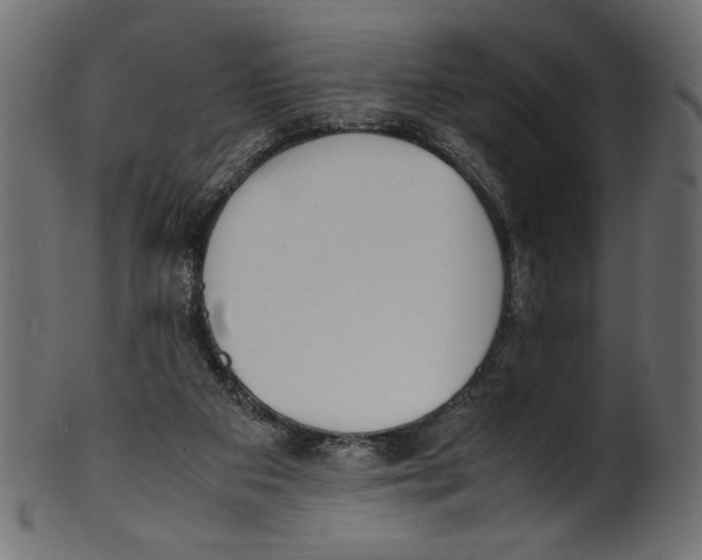 X0000100880113200807181308