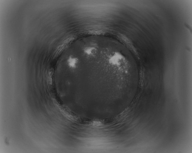 X0000100880114200807181308