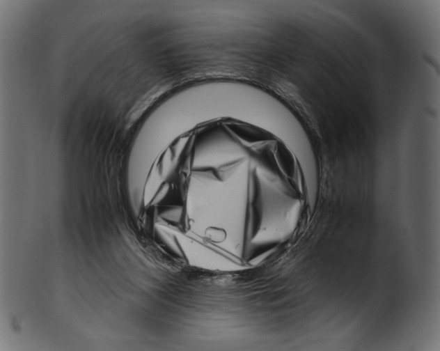 X0000100880116200807181308