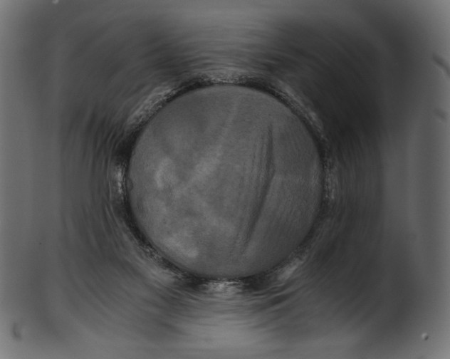 X0000100880117200807181308