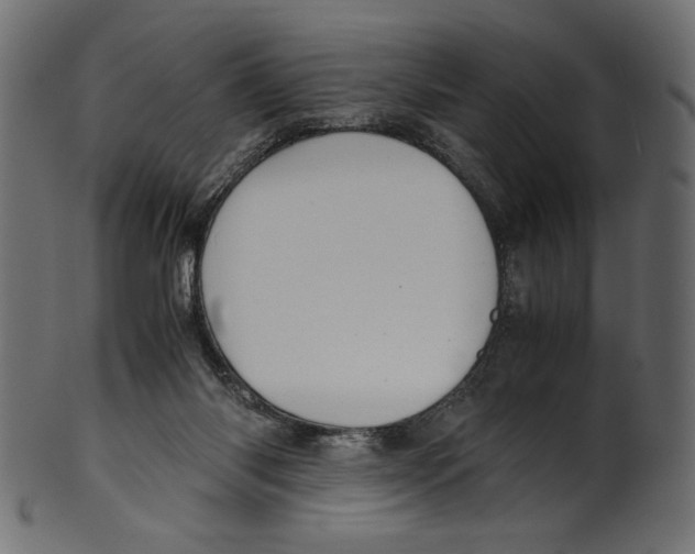 X0000100880118200807181308