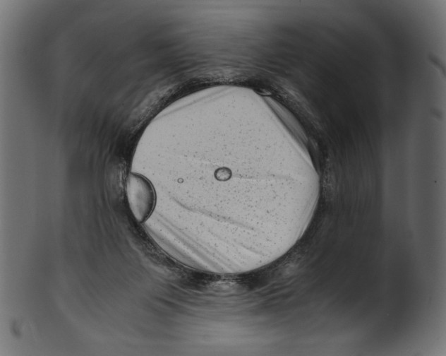 X0000100880119200807181308