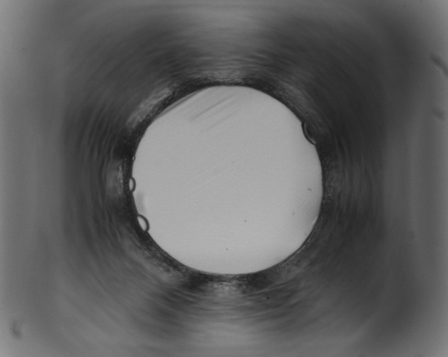 X0000100880120200807181308