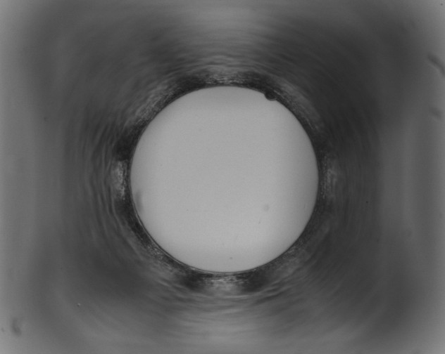 X0000100880121200807181308