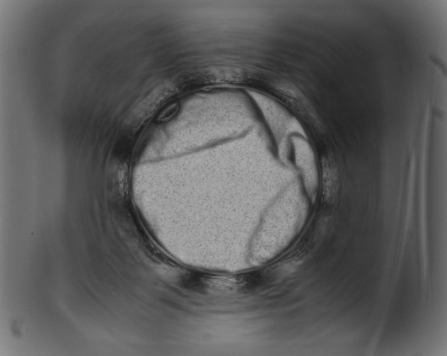 X0000100880123200807181308