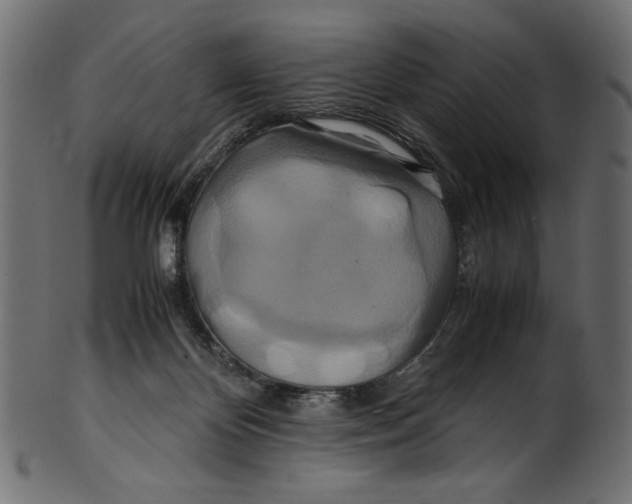 X0000100880124200807181308