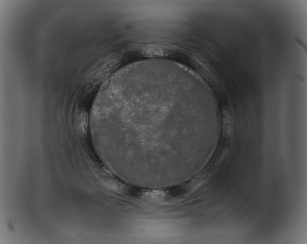 X0000100880125200807181308