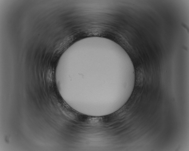 X0000100880126200807181308