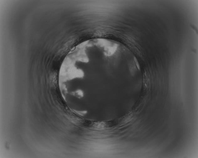 X0000100880127200807181308