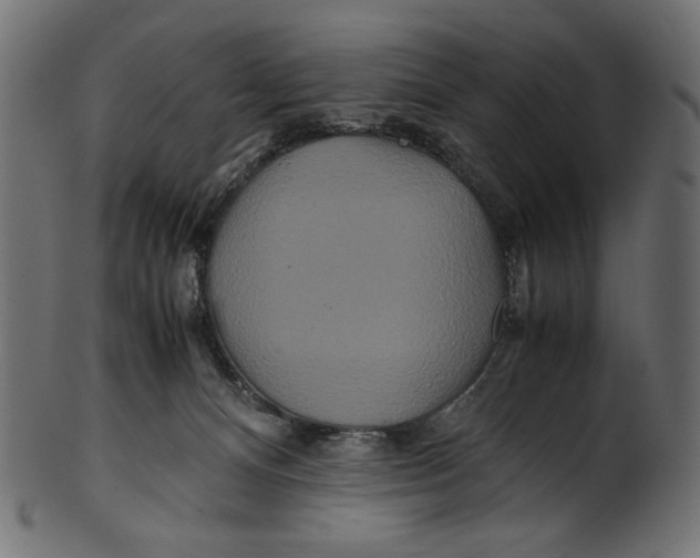 X0000100880128200807181308