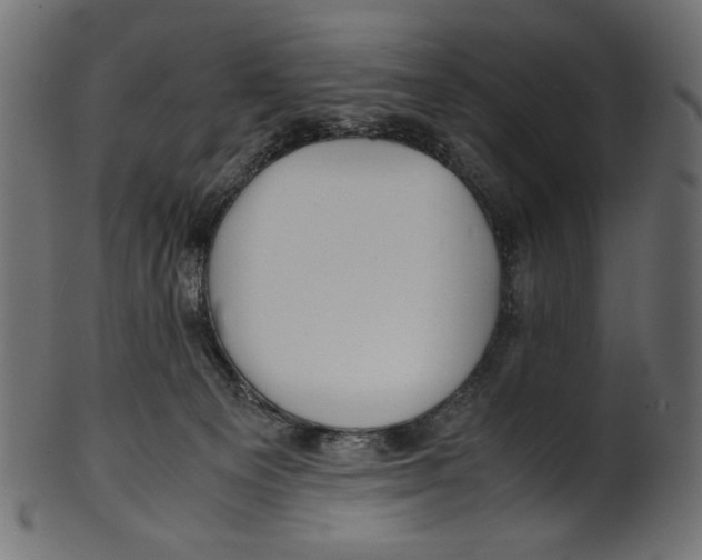 X0000100880129200807181308