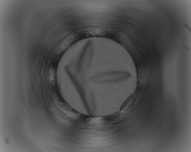 X0000100880132200807181308