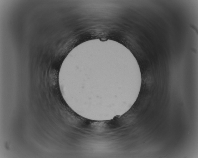 X0000100880133200807181308