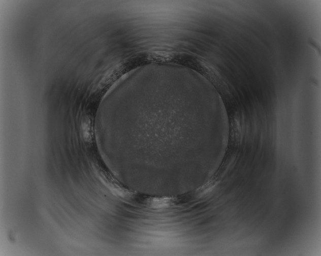 X0000100880134200807181308