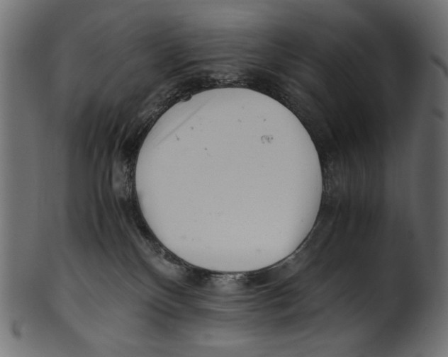 X0000100880136200807181308