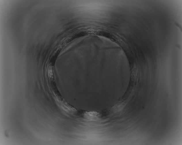 X0000100880137200807181308