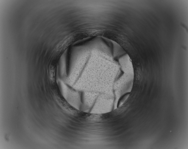 X0000100880138200807181308