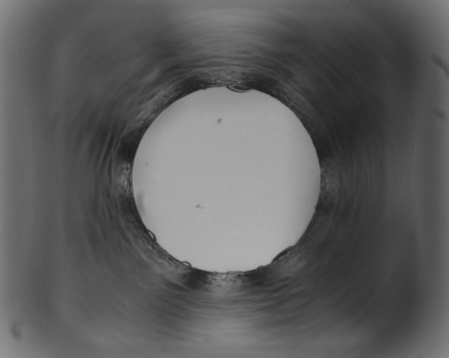 X0000100880141200807181308