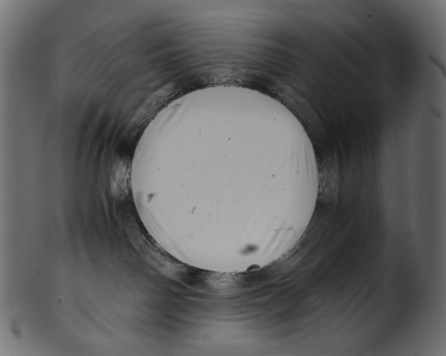 X0000100880142200807181308